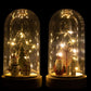 Stolp Tree/Star Wood/Glass+LED Mix Assortment of 2 