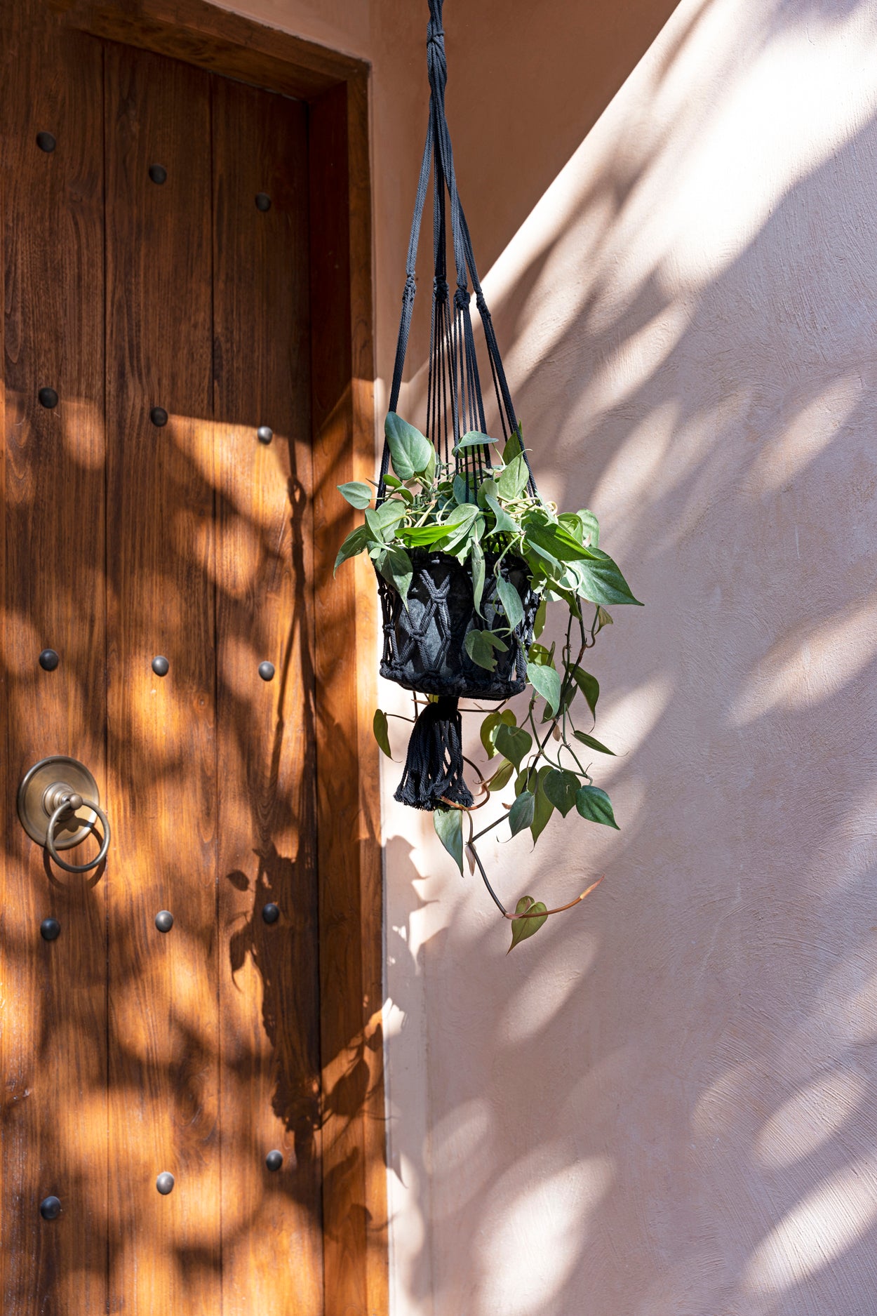 Copy of The Macrame Plant Hanger - Black - L 