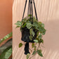 The Macrame Plant Hanger - Black - M 