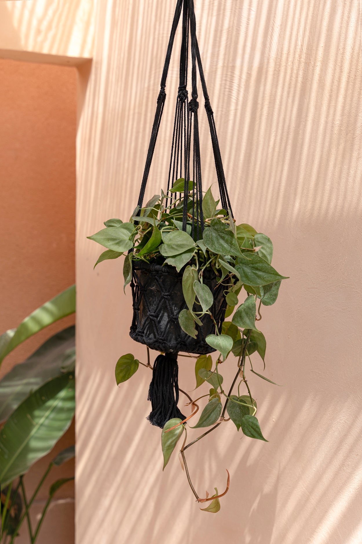 The Macrame Plant Hanger - Black - M 