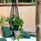 The Macrame Plant Hanger - Black - S 