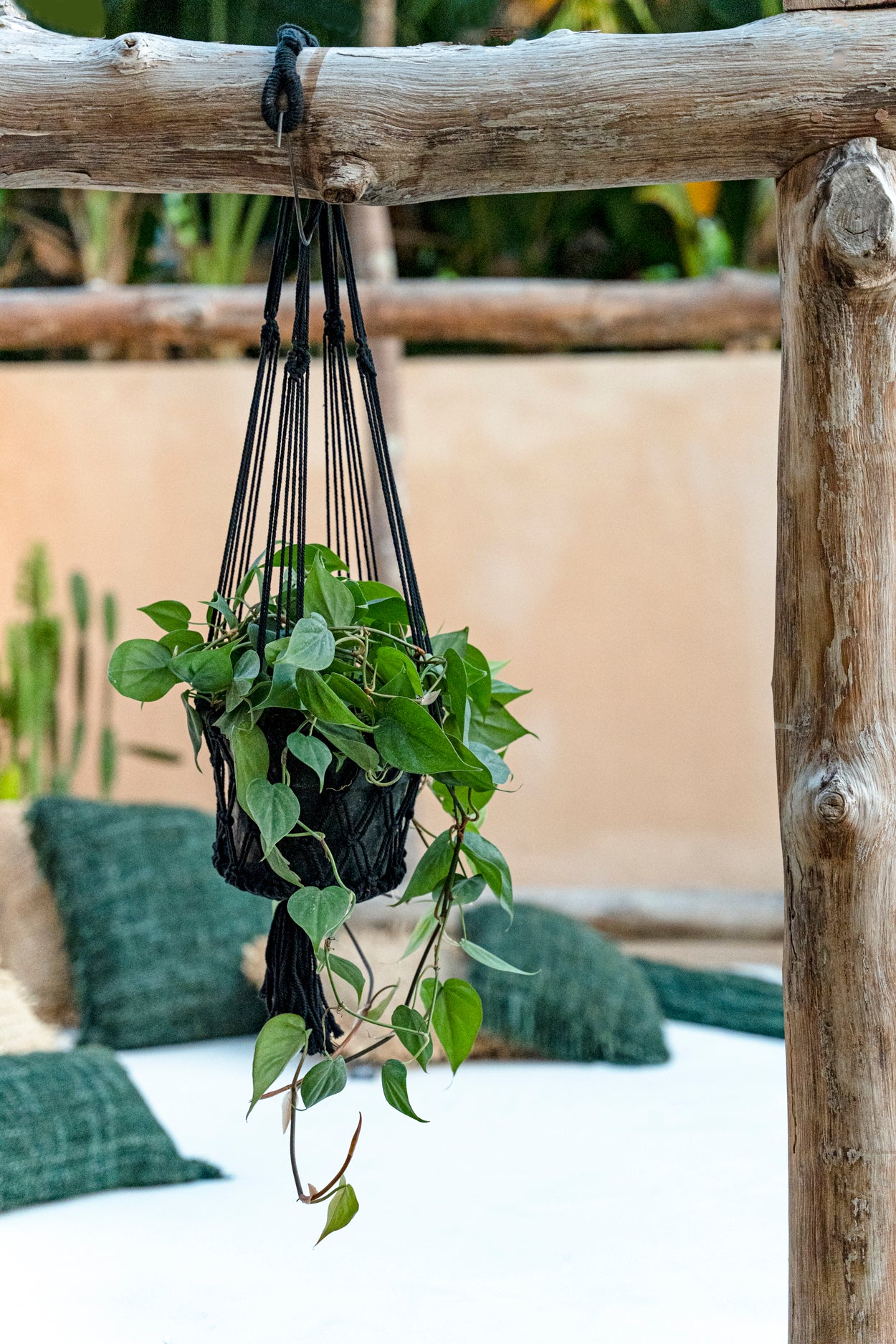 The Macrame Plant Hanger - Black - S 