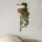 The Banana Leaf Plant Hanger - Natural White 