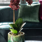 Orchidee In Pot Plastiek/Cement Donker Roze/Zilver