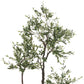 Olive Tree In Pot Plastic Green Large 