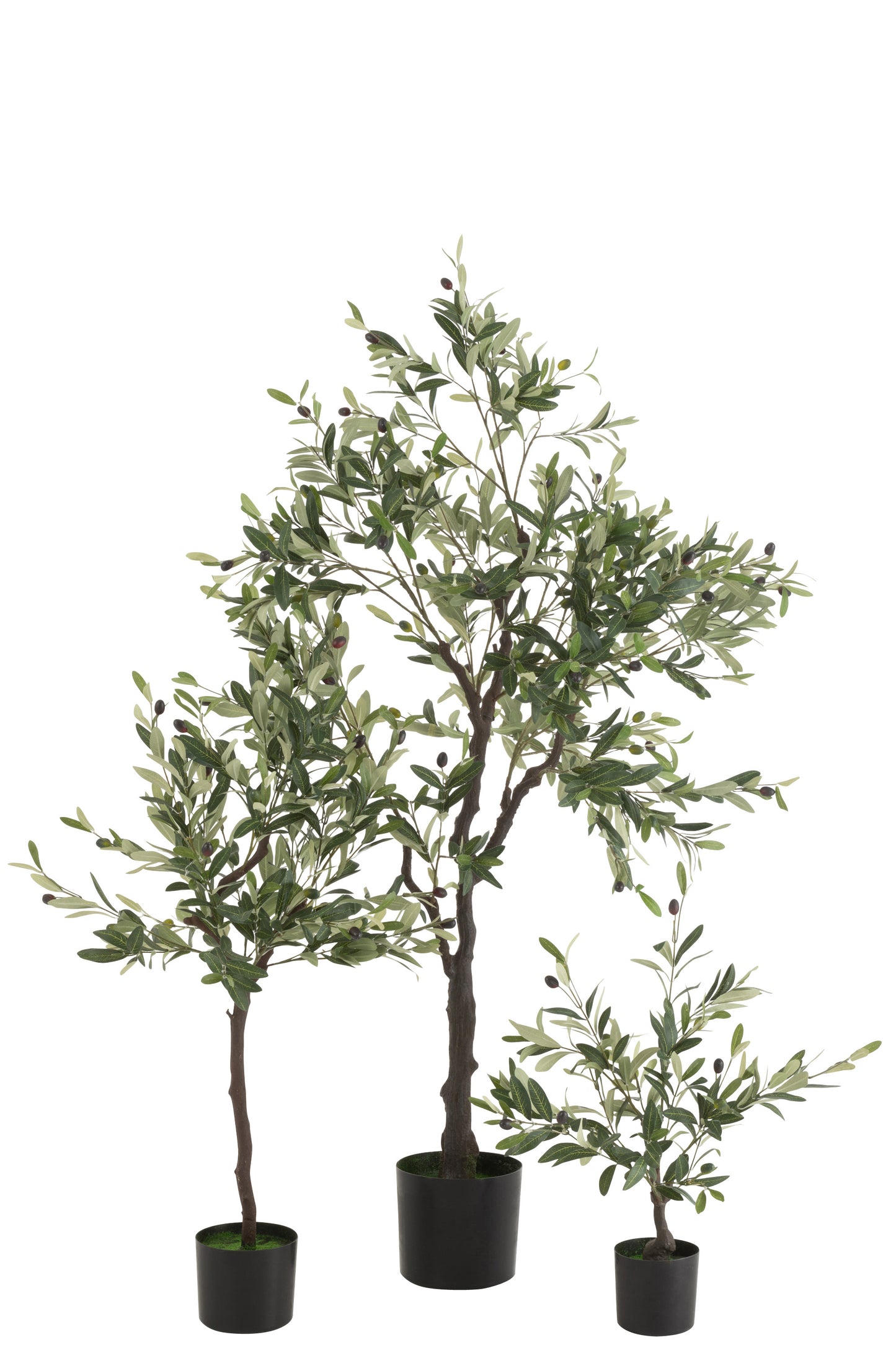 Olive Tree In Pot Plastic Green Large 