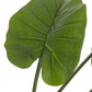 Taro Wild In Pot Plastic Green Large 