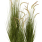 Grasses+Tails In Pot Plastic Green Medium 