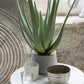 Aloe+Pot Plastic Green/Grey Small 