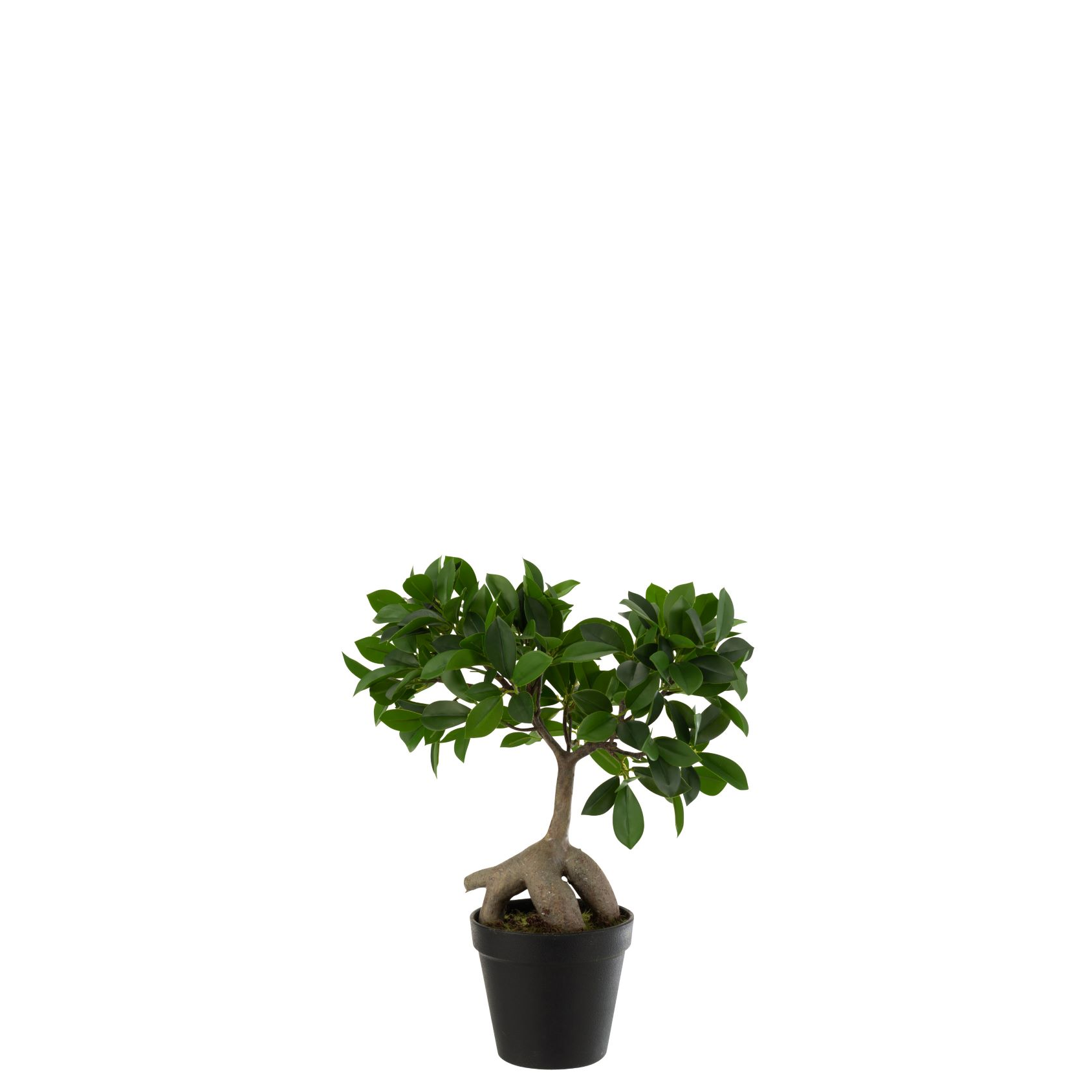 Chinese Vijg Ficus Boom In Pot Plastiek Groen,Zwart Small Kunstplant Kunstplanten Felika Interieur Decoratie