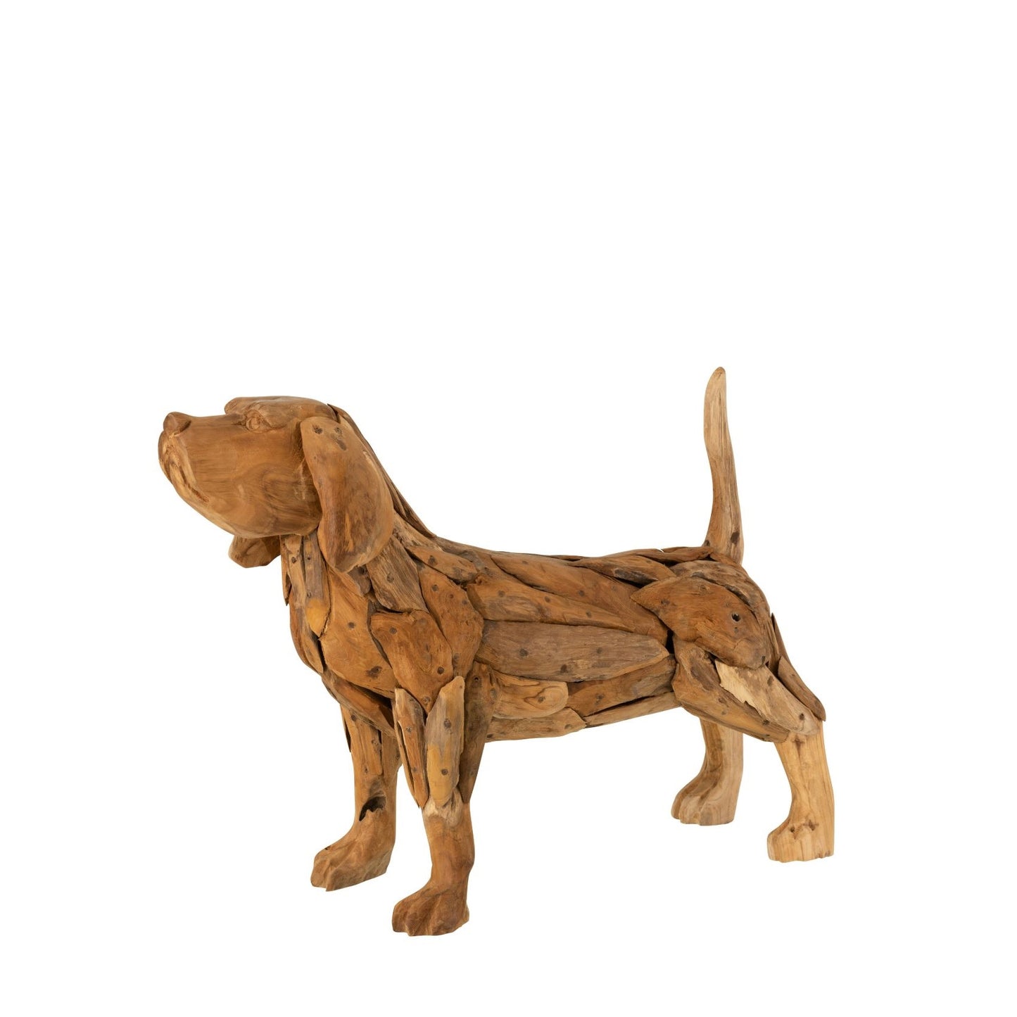 Hond Stukken Teak Hout Naturel Jline Felika