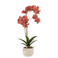 Orchidee In Pot Plastiek Cement Dieprood Beige