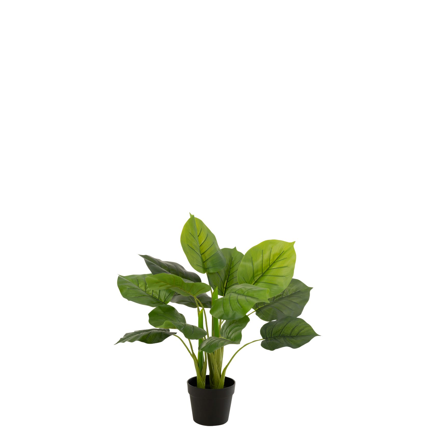 Pothos Plant In Pot Plastiek Groen Kunstplant Kunstplanten Felika Interieur Decoratie