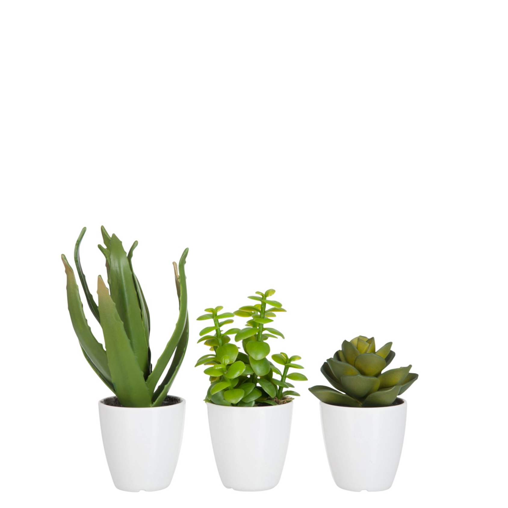 Vetplant Aloe Vera Lotus Pot Groen Melamine Wit Small Assortiment Van 3 kunstplant kunstplanten